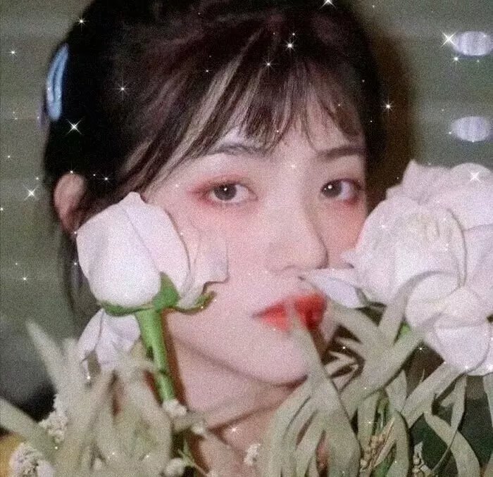 拳语者